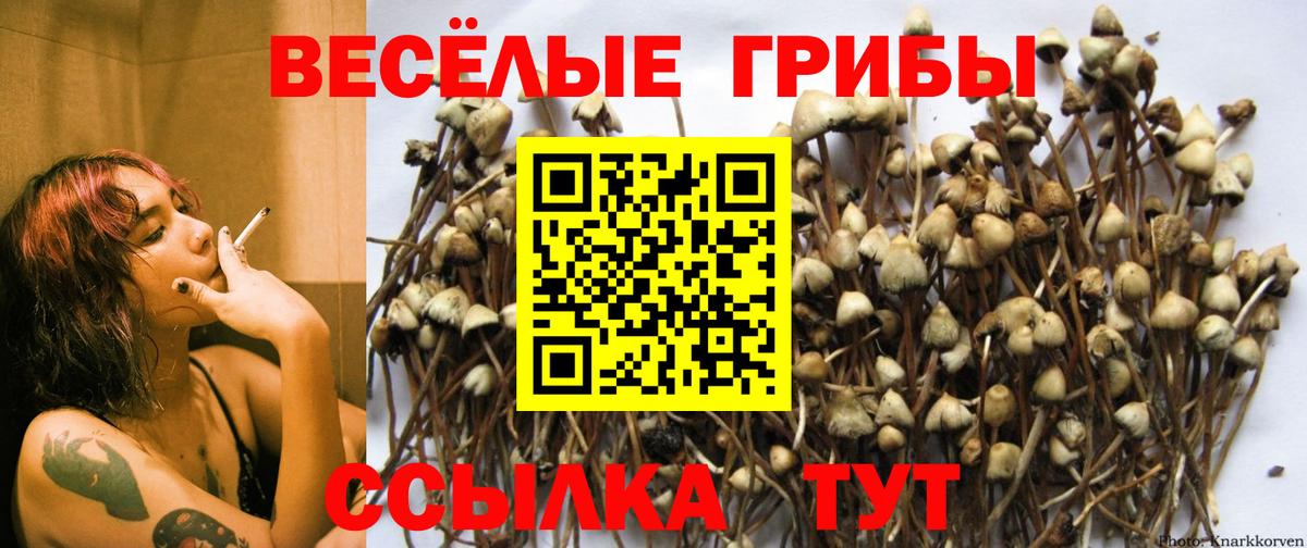 Галлюциногенные грибы мухоморы  Вход с VPN  Великие Луки 